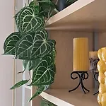 Welkome Alfarrobal T1 * Portimão