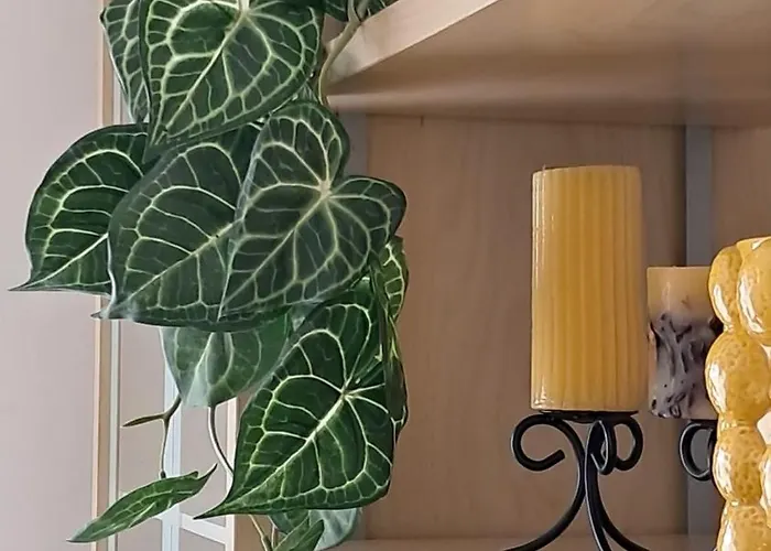 Welkome Alfarrobal T1 * Portimao